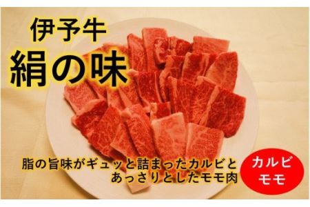 伊予牛絹の味 焼肉用 カルビ・モモ 500g (冷凍)