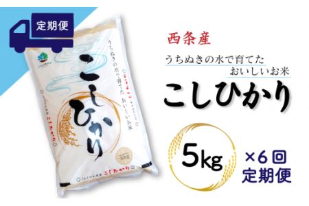 【定期便6ヶ月】西条産のお米「コシヒカリ」（5kg） 令和5年産