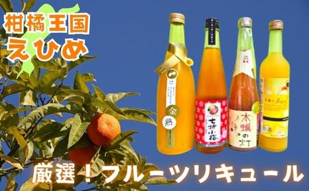 愛媛県産「果実系リキュール」飲み比べセット