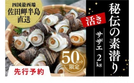 【先行予約】【数量限定】佐田岬海士のさざえ2kg 【4/15～10/31の漁解禁日に合わせて発送】 ※北海道・東北地方・沖縄・離島への配送不可 ※2024年4月下旬～11月上旬頃に順次発送予定