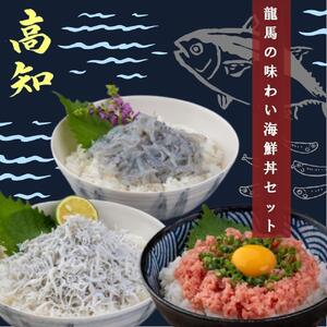 龍馬の味わい海鮮丼セット