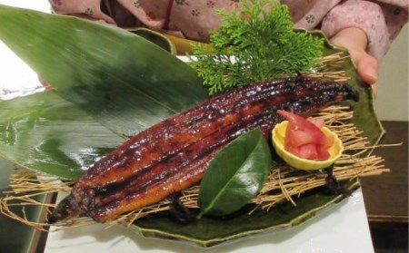 室戸の炙り鯖寿司とうなぎの蒲焼きセット _sz012