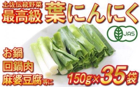 葉 ニンニク 150g×35袋 冷凍 有機栽培 有機野菜 無農薬 健康食品 有機JAS認定 高知県産 須崎市