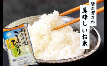 米 コシヒカリ 5kg 白米 ごはん お米 産地直送 食味鑑定士 厳選 高知県産 須崎市