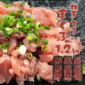 ネギトロ まぐろ 計1.2kg（200g×6パック）海鮮丼 マグロ 漬け丼 まぐろ丼【R00610】