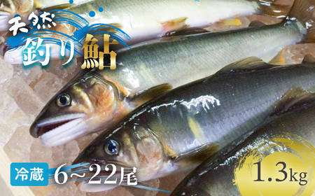  【祝！！生鮎解禁！】四万十川上流の天然釣り鮎 1.3kg【冷蔵６～22尾】【着日指定不可】／Esj-33k