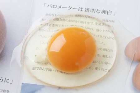 コロンブスの茶卵「卵かけご飯セット」／Gbn-01
