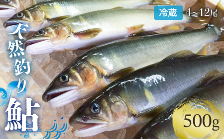 【祝！！生鮎解禁！】四万十川上流の天然釣り鮎 500g【冷蔵4～12尾】【着日指定不可】／Esj-30k 　