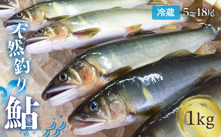 【祝！！生鮎解禁！】四万十川上流の天然釣り鮎 1kg【冷蔵5～18尾】【着日指定不可】／Esj-32k