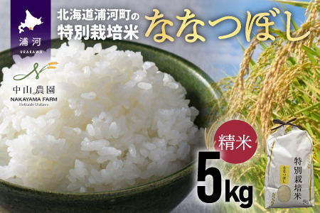 【令和5年産】浦河の特別栽培米「ななつぼし」精米(5kg×1袋)[37-1065]