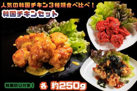 AS-008_人気の韓国チキン3種類食べ比べ！韓国チキンセット