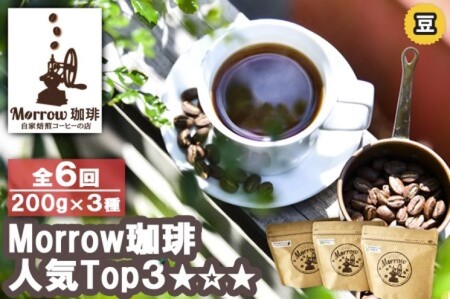 【定期便】「元珈琲嫌い」の店長が送る 自家焙煎 Morrow珈琲 人気TOP3セット 6ヵ月（豆）
