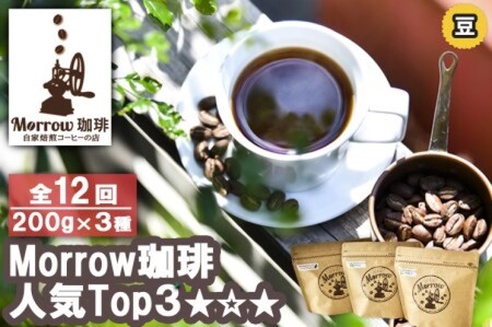 【定期便】「元珈琲嫌い」の店長が送る 自家焙煎 Morrow珈琲 人気TOP3セット 12ヵ月（豆）