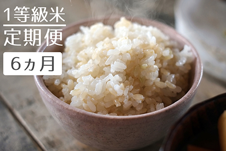 【定期便】1粒からこだわる1等級米 ヒノヒカリ 玄米(10kg×6回）