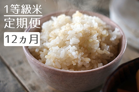 【定期便】1粒からこだわる1等級米 ヒノヒカリ 玄米(10kg×12回）