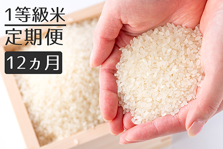 【定期便】1粒からこだわる1等級米 にこまる 無洗米(10kg×12回）