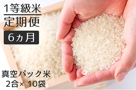 【定期便】1等級米 一粒からこだわる 真空パック無洗米 ヒノヒカリ 【2合（300g）×10袋×6ヵ月】