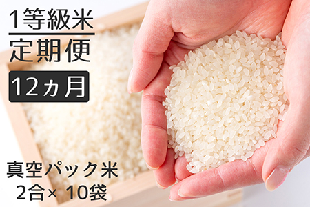 【定期便】1等級米 一粒からこだわる 真空パック無洗米 ヒノヒカリ 【2合（300g）×10袋×12ヵ月】
