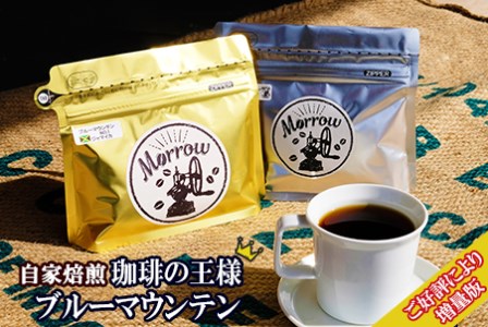 自家焙煎Morrow珈琲 “コーヒーの王様” ブルーマウンテン(豆）【大】