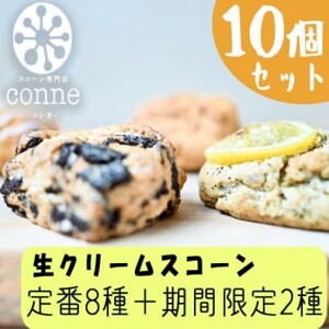 【福岡県産小麦と生クリーム使用】生クリームスコーン　10個セット　connne