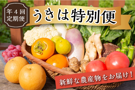 SA24 【年4回定期便】うきは特別便（新鮮な農作物・フルーツ野菜など）