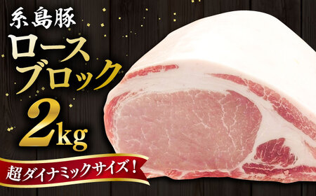 糸島豚 ロース ブロック肉 2kg 糸島市 / ヒサダヤフーズ 豚 豚肉[AIA068]