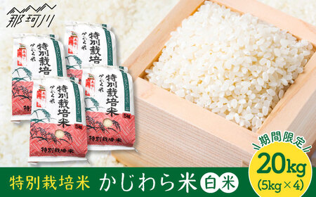 【9月中旬から発送】特別栽培米 かじわら米 新米 白米 20kg（5kg×4）＜農事組合法人かじわら＞那珂川市 白米 夢つくし 特別栽培米 福岡産白米 福岡産米 かじわら米 白米 特別栽培米 米 お米 精米 夢つくし 九州産白米 米 精米 27000 27000円 [GAI005]