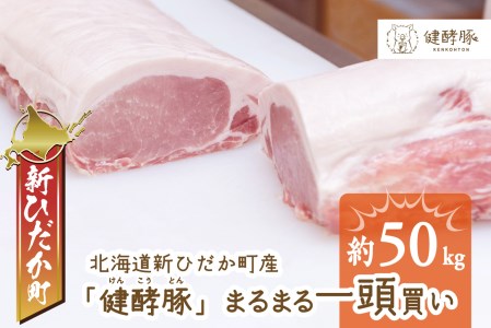 北海道産 健酵豚 まるまる 一頭買い 計 約50kg
