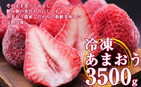 【数量限定】【4月より順次発送】福岡県産 冷凍 いちご あまおう 3.5kg TY006-1
