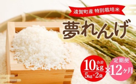 【12ヶ月定期便】 特別栽培米 夢れんげ 10kg×1袋 合計120g 精米