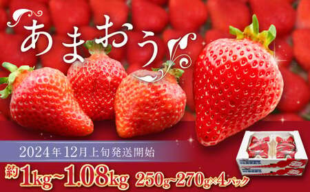 博多あまおう（冬） 約250g～270g×4パック 計約1kg～1.08kg【2024年12月上旬～2025年1月下旬発送予定】いちご 苺 イチゴ 果物 フルーツ