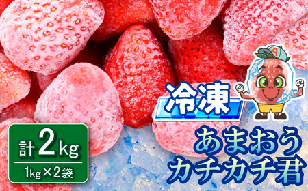 冷凍 あまおう カチカチ君 (1kg×2袋)  冷凍あまおう いちご 苺 冷凍いちご 3W14