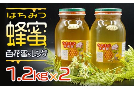 蜂蜜（レンゲ蜜１.２ｋｇ、百花蜜１.２ｋｇ）セット K2