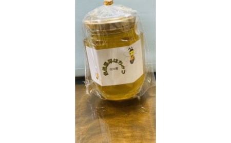 天然百花ハチミツ 合計500g(250g×2)　ハチミツ 蜂蜜 天然 純粋