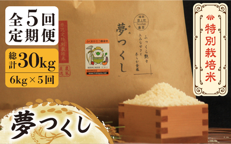 【全5回定期便】【先行予約・令和6年産】特別栽培米 夢つくし 6kg 《築上町》【Nouhan農繁】 米 白米 お米 [ABAU027] お米おすすめ お米定番 お米人気 お米お取り寄せ 美味しいお米 お米料理 お米おススメ お米お気に入り 定番お米 福岡県産米 60000円 6万円