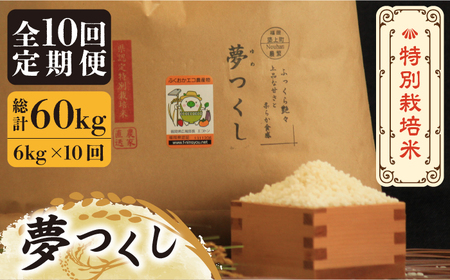 【全10回定期便】【先行予約・令和6年産】特別栽培米 夢つくし 6kg 《築上町》【Nouhan農繁】 米 白米 お米 [ABAU037] お米おすすめ お米定番 お米人気 お米お取り寄せ 美味しいお米 お米料理 お米おススメ お米お気に入り 定番お米 福岡県産米 120000円 12万円