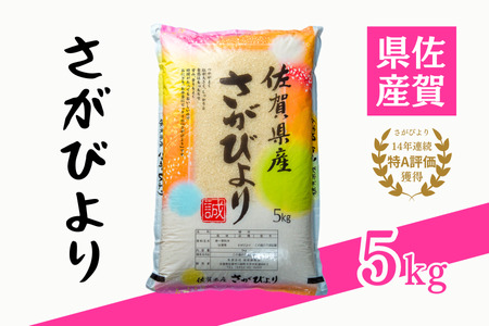 令和5年 佐賀県産「さがびより」5kg：A095-042