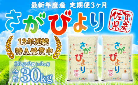 「令和5年産」さがびより 定期便 3ヶ月 30kg B604