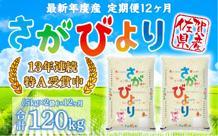 「令和5年産」さがびより 定期便 12ヶ月 120kg B606