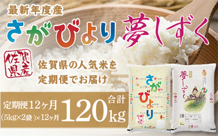 「令和5年産」さがびより夢しずく 定期便 12ヶ月 120kg B610