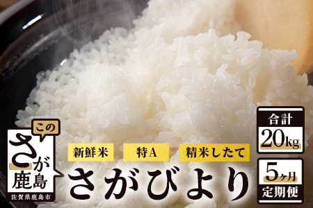 【新鮮米】佐賀県鹿島市産さがびより 白米4kg定期便（５か月お届け） E-101