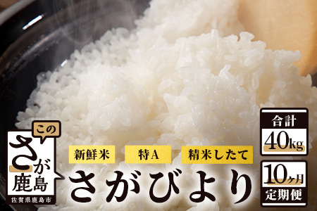 【新鮮米】佐賀県鹿島市産さがびより 白米4kg定期便（１０か月お届け） I-23