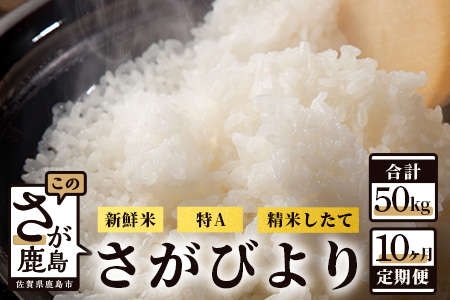 【新鮮米】佐賀県鹿島市産さがびより 白米5kg定期便（１０か月お届け） J-21