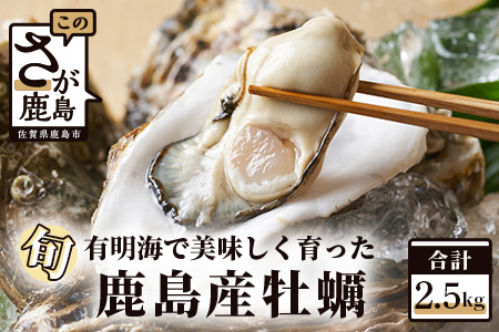 鹿島産 牡蠣 2.5kg(殻付き)【加熱調理用】品種(スミノエ)B-559 牡蠣焼き 牡蠣小屋 佐賀の牡蠣 有明海の牡蠣 おいしい牡蠣 おすすめ牡蠣