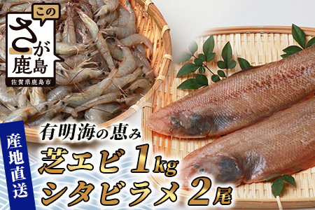 冷凍芝エビ（真エビ）1kg（500g×2パック）＆有明海産 シタビラメ約150g×2尾【有明海の恵】簡単調理 セット B-569