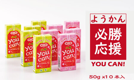 you can! ようかん10本入 A065-005