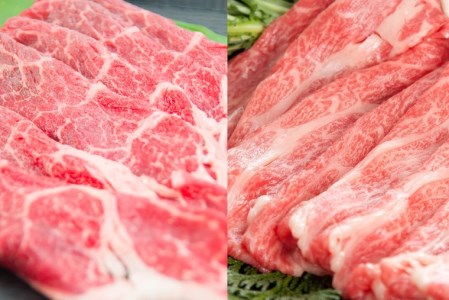EN009_佐賀牛食べ比べセット（カタ肉270ｇモモ肉250ｇ）