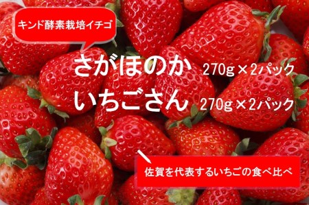 AE014_あま～い！！キンド酵素栽培いちご 【さがほのか２７０ｇ×２パック・いちごさん２７０ｇ×２パック】数量限定！！
