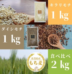 CI201_佐賀県産『もち麦』食べ比べ！キラリモチ１㎏、ダイシモチ１㎏