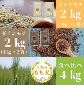 CI202_佐賀県産『もち麦』食べ比べ！キラリモチ２㎏、ダイシモチ２㎏